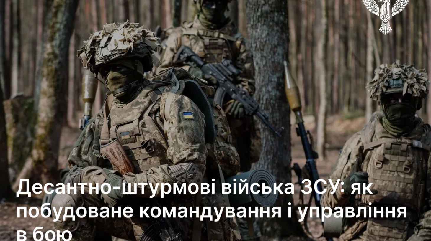 Десантно-штурмові війська ЗСУ: як побудоване командування і управління в бою