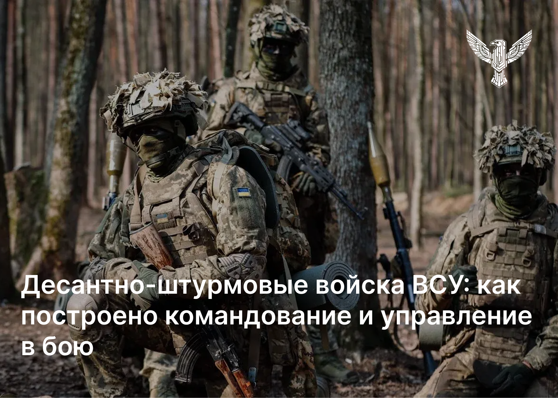 Десантно-штурмовые войска ВСУ: как выстроены командование и управление в бою