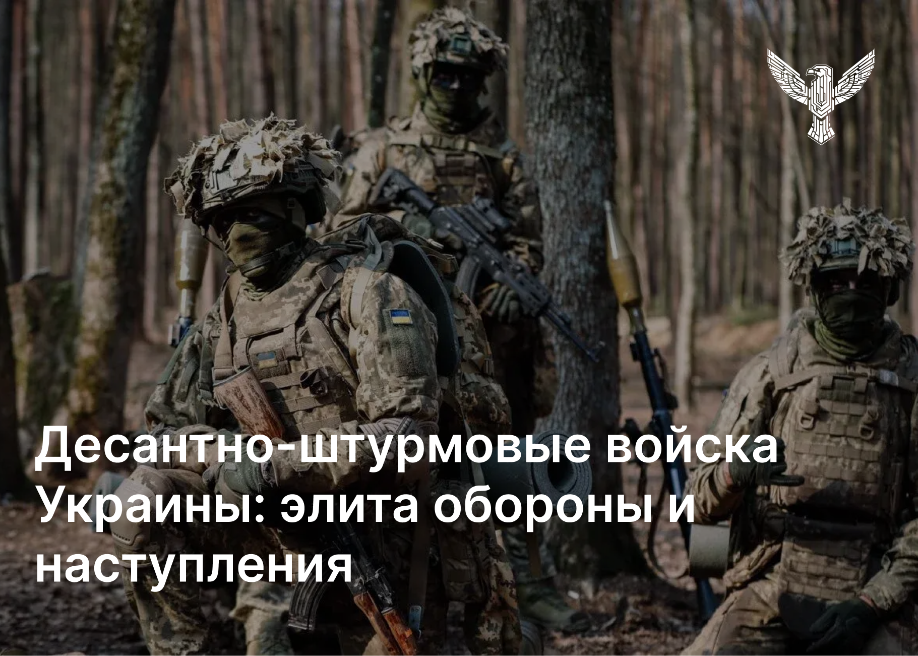 Десантно-штурмовые войска Украины: элита обороны и наступления