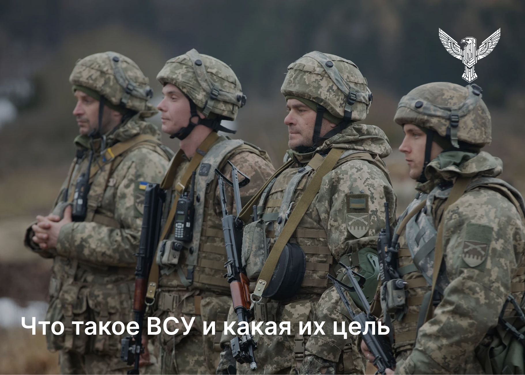 Что такое ВСУ и какая их цель