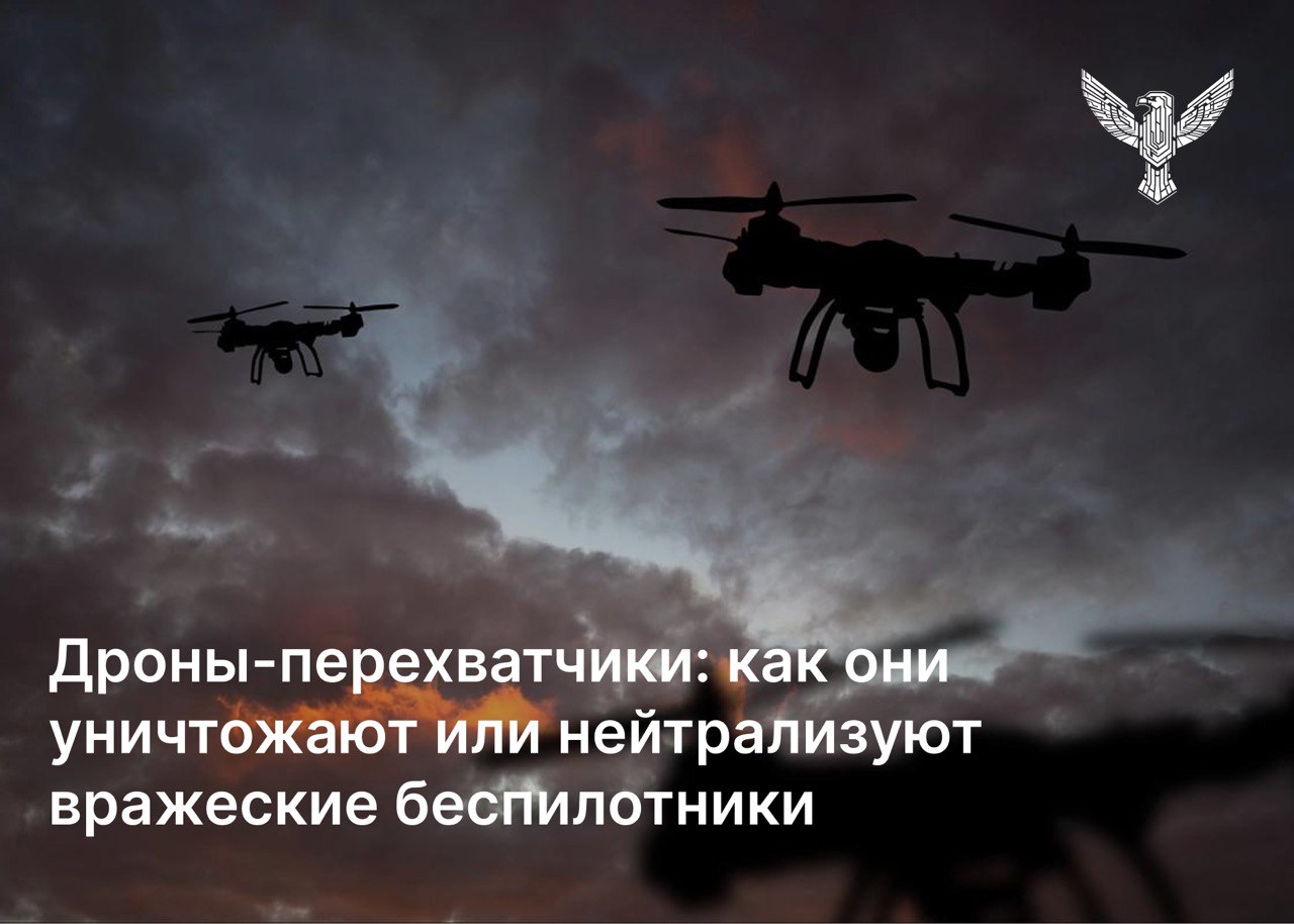 Дроны-перехватчики: как они уничтожают или нейтрализуют вражеские беспилотники