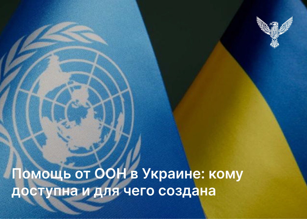 Помощь от ООН в Украине: кому доступна и для чего создана